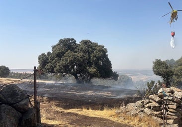 Viento y rocas entre las que se 'esconden' las llamas, principales dificultades en el incendio de Segovia
