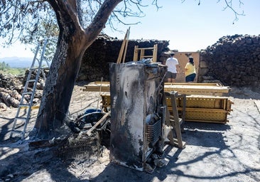 La Junta aprueba más de 3,8 millones en ayudas vinculadas a los daños de los incendios