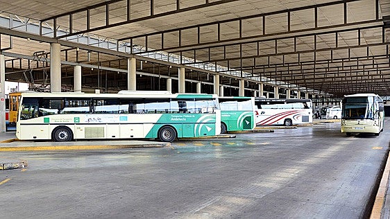 Autobuses desde Sevilla para ver la Venida de la Virgen del Rocío: horarios, paradas y cómo llegar