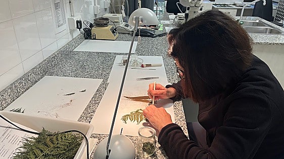 El Banco de Germoplasma Vegetal Andaluz: el 'Arca de Noé' que custodia el futuro de la flora silvestre
