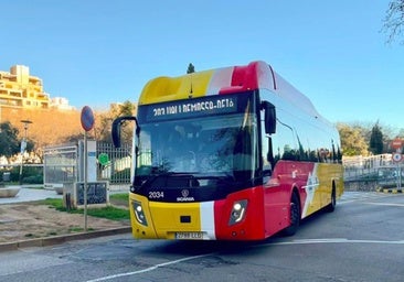 Muere un turista en Valldemossa al caerle una farola derribada por un autobús