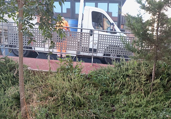 Obras en el Paseo Federico García Lorca.