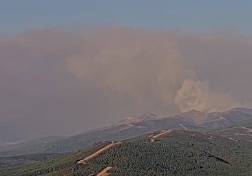 «Controlados» los dos focos del incendio Cáceres que han saltado a Salamanca