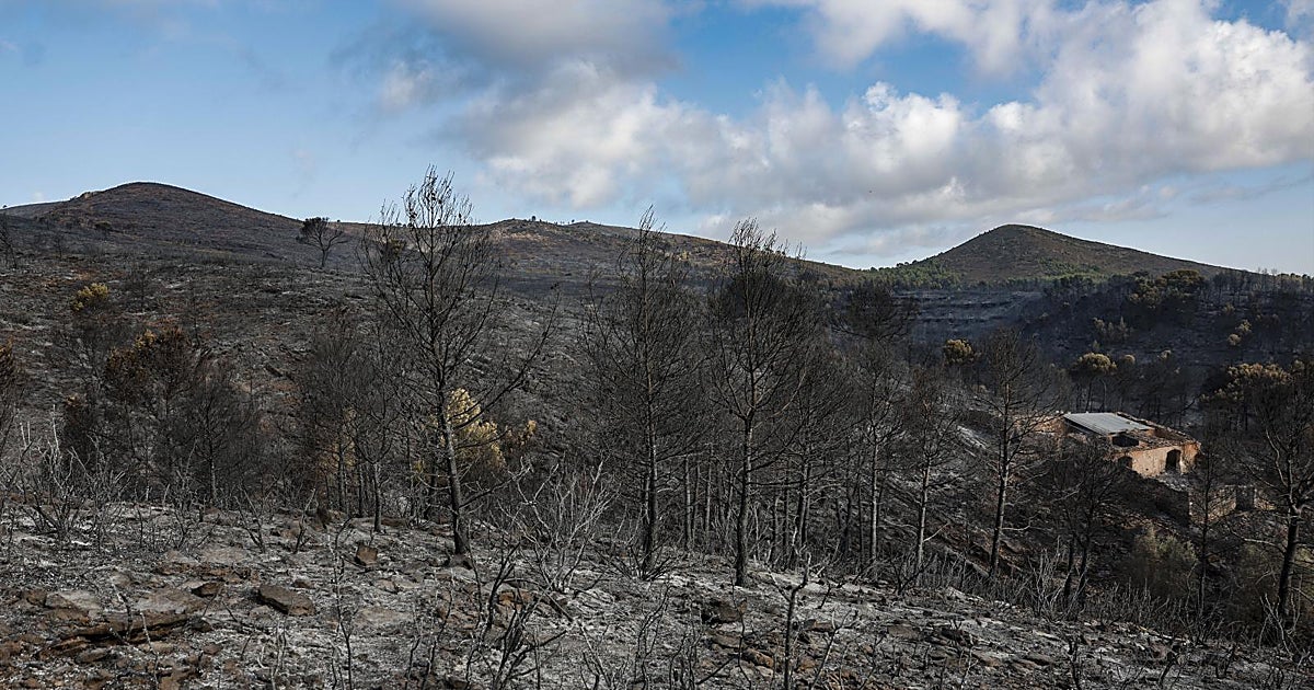Estabilizado el incendio de la Sierra Calderona tras arrasar con más de 630 hectáreas