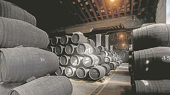 Las bodegas andaluzas se transforman para adaptarse a los nuevos hábitos más «lights»
