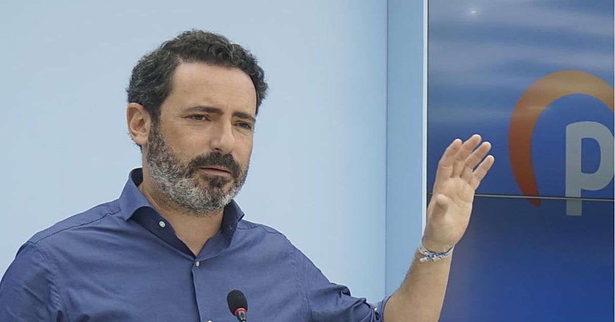 El PP también pide en Málaga la vuelta de OCON-Sur: «Es donde más incautaciones hay de armas de guerra»