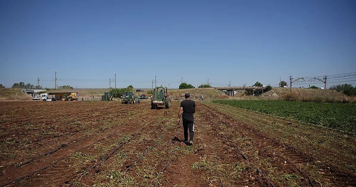Castilla-La Mancha fija las prioridades para la futura PAC junto a las organizaciones agrarias