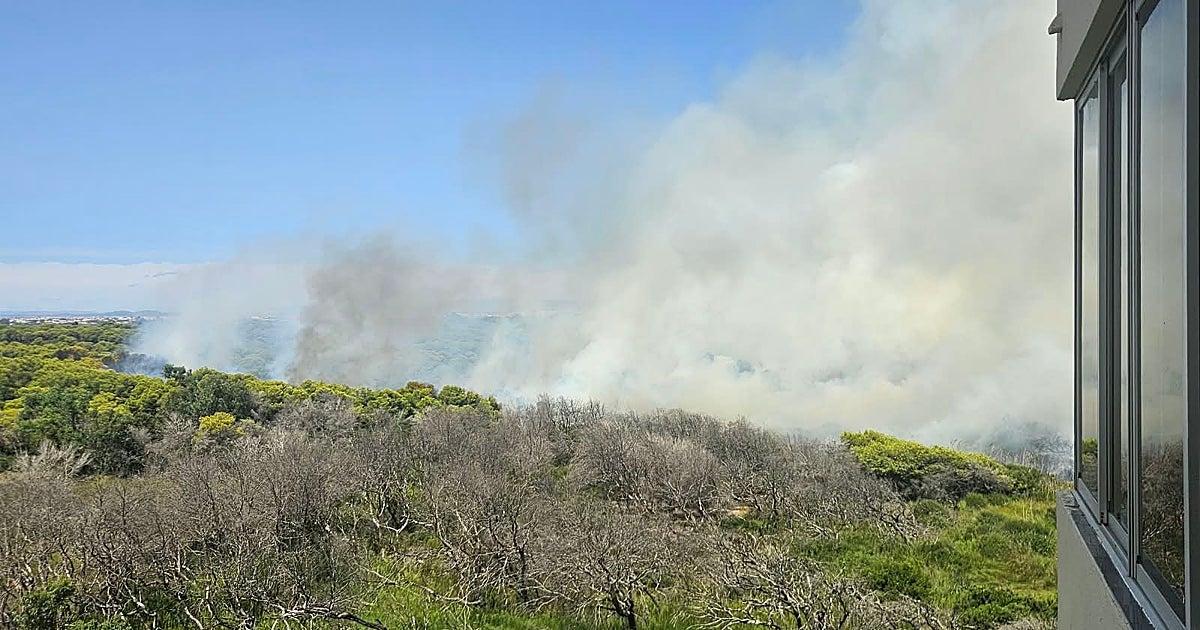 Un incendio en El Saler (Valencia) obliga a desalojar apartamentos y cortar carreteras