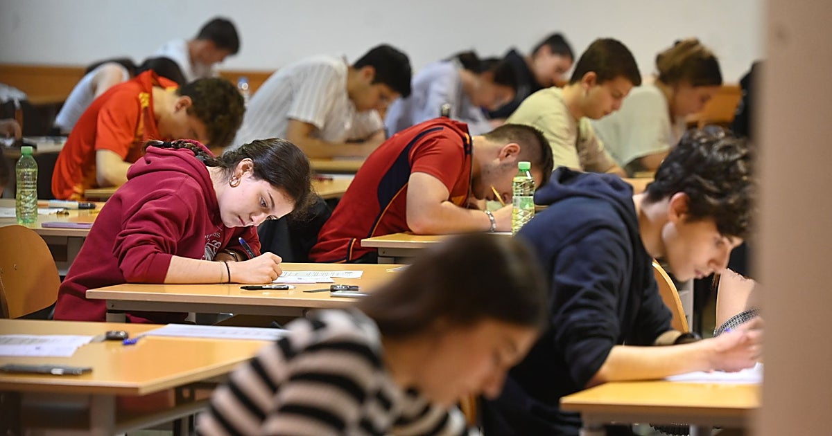Castilla y León consolida su liderazgo educativo con una de las mayores tasas de escolarización y presencia universitaria
