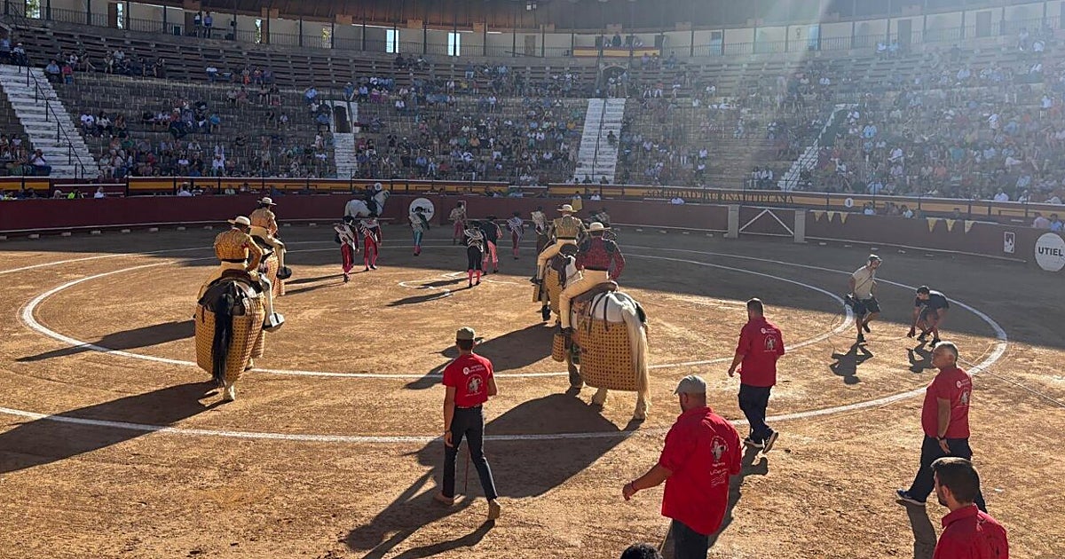 Toros en directo en À Punt este fin de semana: horarios y eventos taurinos
