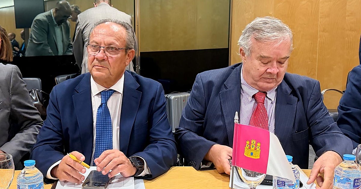 Ruiz Molina deja en manos de los diputados del PSOE votar «en conciencia» la financiación autonómica