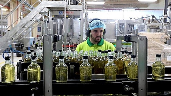 Andalucía reclama que Deoleo siga vinculada a la tierra que produce el 80% del aceite español