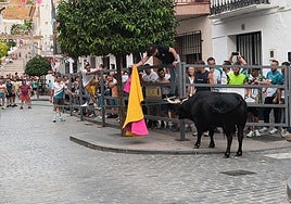 La fiesta del Toro de Cuerda en Carcabuey, en imágenes