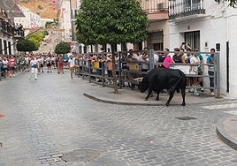 El Toro de Cuerda vuelve a hacer vibrar a Carcabuey con una jornada llena de quites y emoción