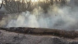 Los medios de extinción cortan la cabeza del incendio forestal cerca de Aranda de Duero