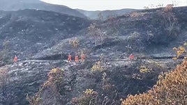 Incendio arrasa 3.000 hectáreas de bosque y cultivos en el norte de Colombia