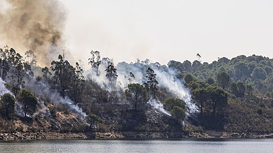 Andalucía pide por carta al Gobierno que pague la mitad de la restauración del incendio de Niebla