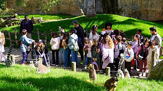 Bioparc Valencia inicia el curso escolar con una oferta educativa para acercar la biodiversidad a las aulas