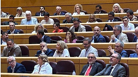 María Jesús Montero se ausenta y no vota en el Senado en su primera votación tras recibir el acta