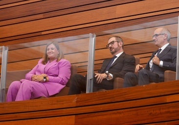 Los populares Javier Iglesias y Javier Maroto y la socialista Clara Martín, designados senadores autonómicos con los votos de sus grupos