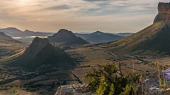La DOP Jumilla inicia con Grecia la campaña 'Tesoros del vino europeo' en Estados Unidos