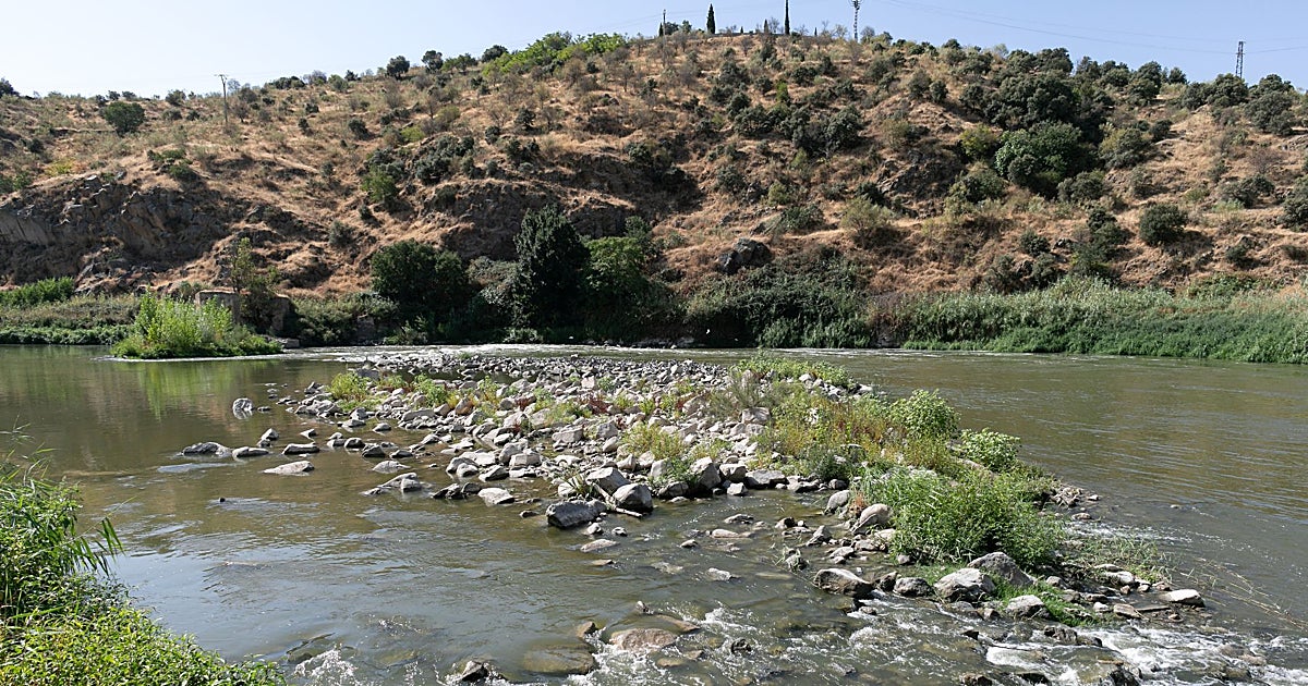 Study Finds High Fecal Bacteria Levels in Tajo River