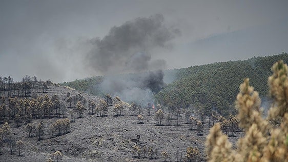 Castilla-La Mancha moviliza más de 22,5 millones para recuperar la zona de La Mierla
