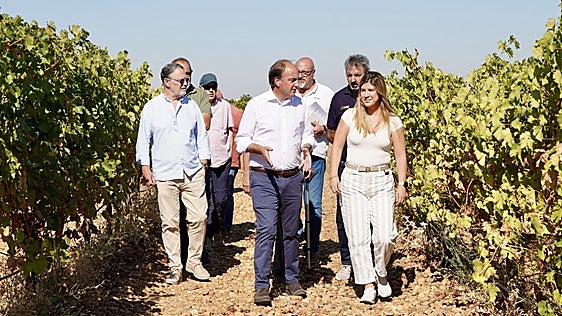La Junta amenaza con sanciones «cuantiosas» si se compra uva en Rueda por debajo de los costes de producción