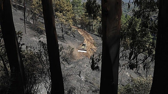 Estabilizado el incendio de Quiroga (Lugo) tras arrasar 420 hectáreas