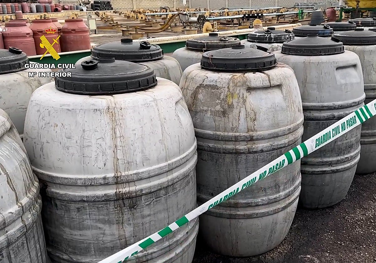 Detenido un falso empresario por una estafa millonaria a 258 agricultores de aceituna de mesa en Sevilla y Huelva
