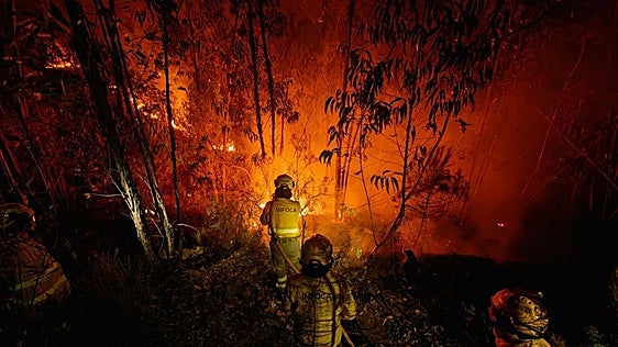 El PSOE exige el cese del director de la Agencia de Emergencias por «deficiencias» en la gestión de los incendios en Andalucía
