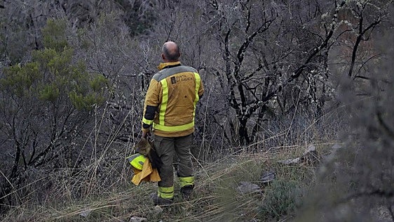 La nueva ley gallega antiincendios dará un giro a la prevención con medidas adaptadas a cada zona