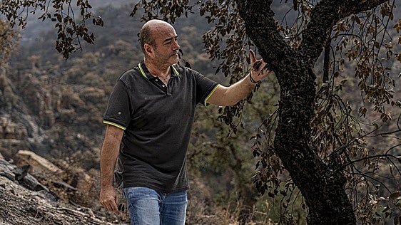 Las manos tiznadas por el corcho quemado: «El árbol no ha muerto, pero no sacaremos nada en 45 años»