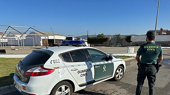 Muere atropellado un hombre de 61 años en Torrecampo