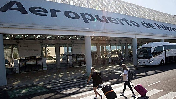 Detenido en el aeropuerto de Palma tras intervenirle dos maletas con 25 kilos de marihuana