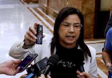 Un bote de gas pimienta deja en segundo plano en el Congreso a Ceuta y al clan de Badajoz