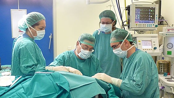 La Junta destinará 130 millones al año para la recuperación de la carrera profesional sanitaria