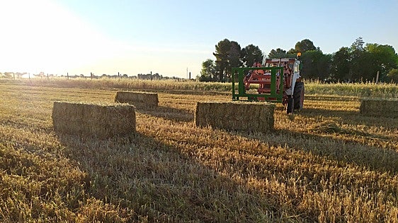 Asaja se opone a financiar el desarrollo rural con las ayudas directas de la PAC
