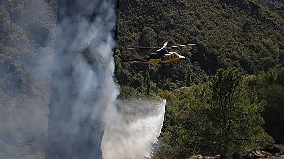 Un incendio forestal quema más de 20 hectáreas en Calvos de Randín (Orense)