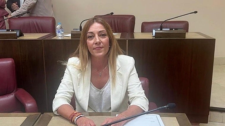 El Pleno de Albacete reclama revisar la seguridad del Museo tras el robo de las monedas