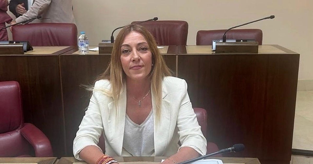 El Pleno de Albacete reclama revisar la seguridad del Museo tras el robo de las monedas