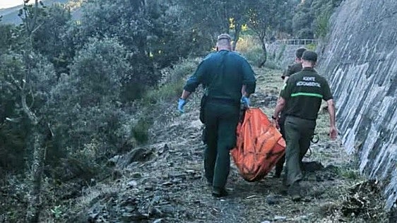 Hallan un oso muerto en un canal de Matarrosa del Sil (León)