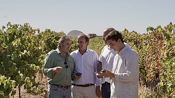 Agricultura establece un coste de producción de 0,92 euros por kilo de uva en Ribera