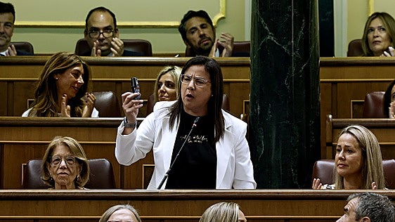 El Congreso estudia una «probable» sanción a la diputada que sacó un bote de gas pimienta