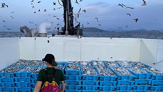 El llamamiento desesperado de unos pescadores de Andalucía: «Ahora mismo salir a pescar nos cuesta dinero»