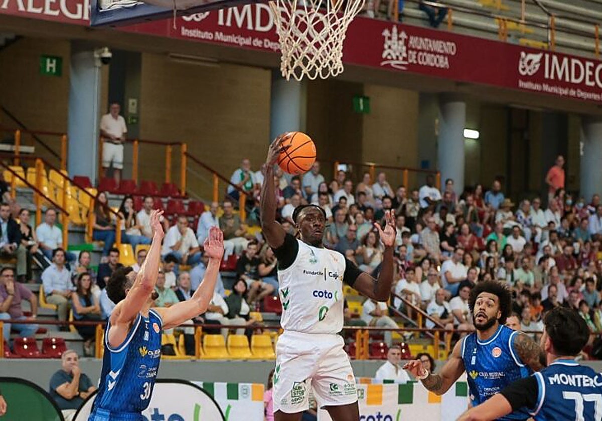 El Cajasol Coto Córdoba firma un estreno de ensueño en Primera FEB con un triunfo incontestable ante Zamora (72-57)