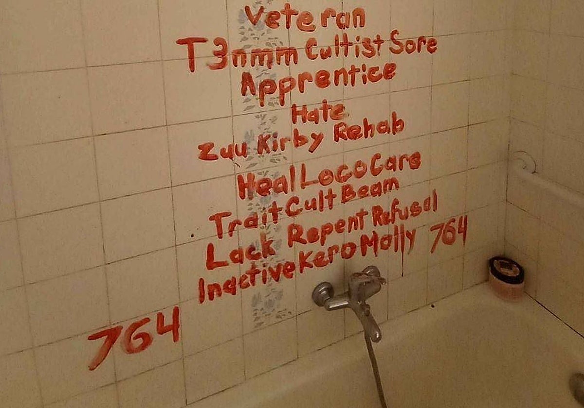 Europol activa una fuerza especial ante el «terror sádico» que crece en España: «Emiten autotorturas en streaming»