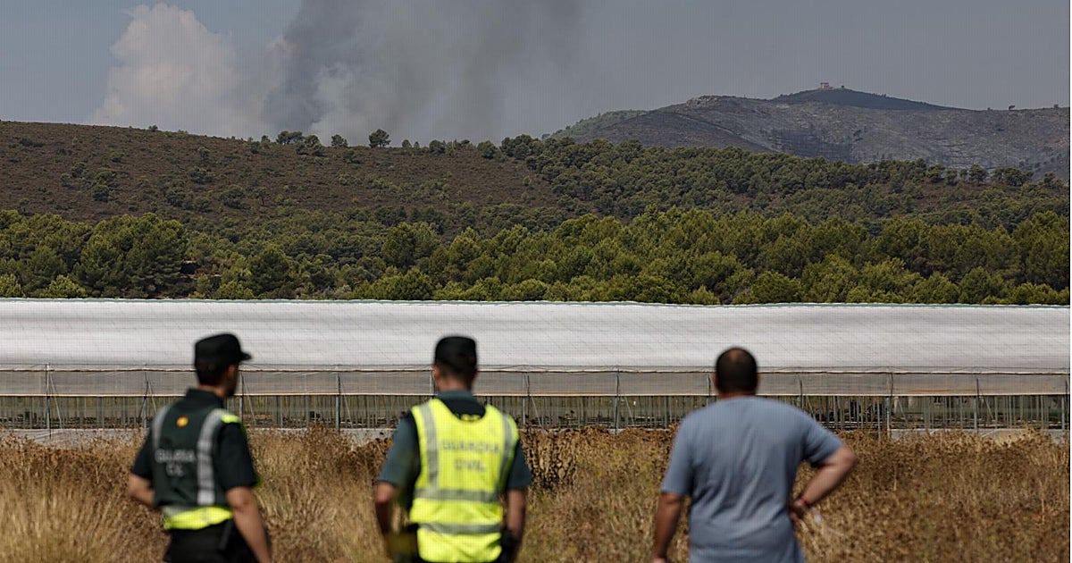 Llorca financia la contratación de 1.700 parados para prevenir incendios conservando montes