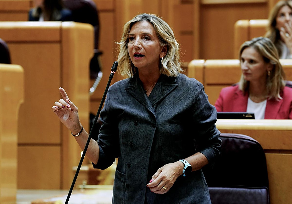 La portavoz del PP en el Senado, Alicia García.