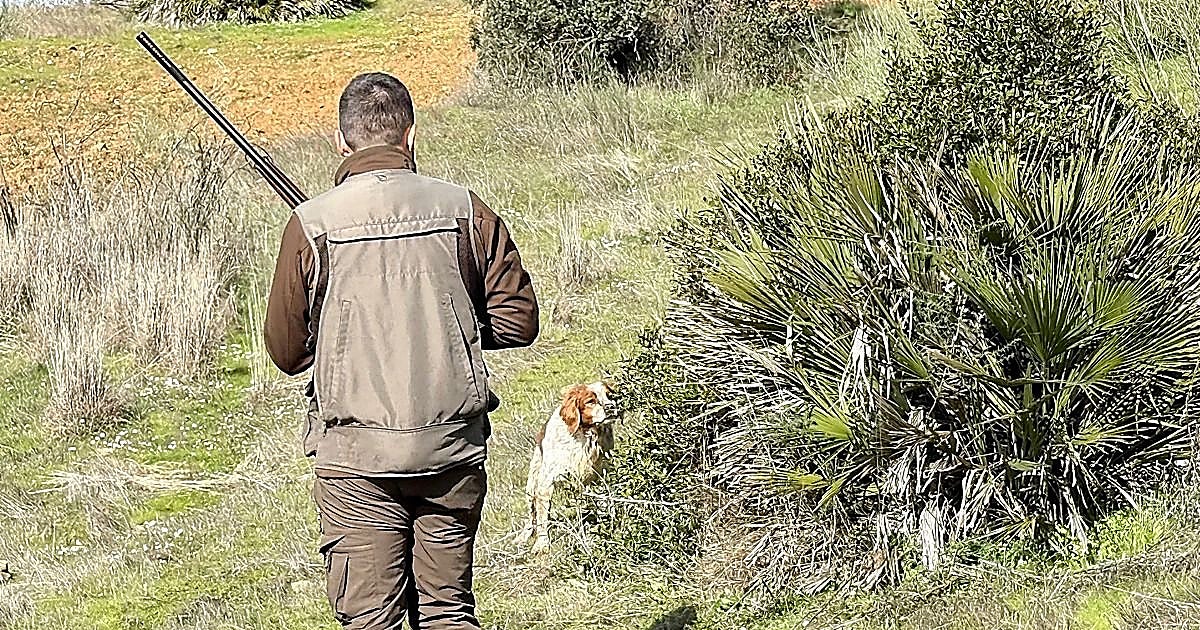 Castilla-La Mancha estrena reglamento de caza con la temporada a las puertas y más trámites online